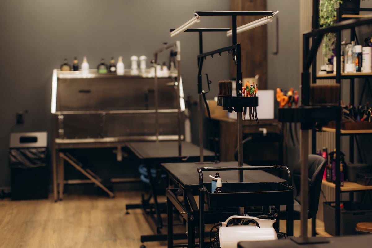 Modern pet grooming salon featuring multiple stations with tables, bathing area, and tools, ready for animal care